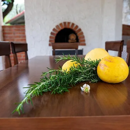Fiore Di Limone Santo Stefano di Camastra