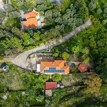 Panoramic Fiore Di Limone Near Cefalu شقة سانتو ستيفانو دي كاماسترا