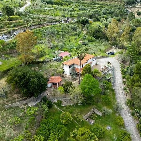 Fiore Di Limone